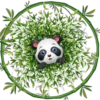 Pandita Cute ✺1🇻🇪 7