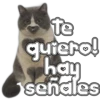🐈‍⬛Gaticos🐈💕🇲🇽 8