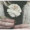 Best Flowers 2 8