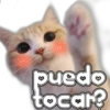 🐈‍⬛Gaticos🐈💕🇲🇽 13