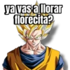 ya vas a llorar florecita?