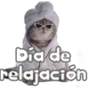 🐈‍⬛Gaticos🐈💕🇲🇽 14