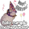 🐈‍⬛Gaticos🐈💕🇲🇽 15