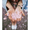 Best Flowers 2 13