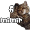 🐈‍⬛Gaticos🐈💕🇲🇽 16
