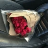 Best Flowers 2 15