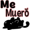 🧿Gatitos Michis Miau🐈 11