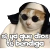 🐈‍⬛Gaticos🐈💕🇲🇽 18