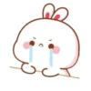 Bunny・W・🐰🩷 20