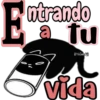 🧿Gatitos Michis Miau🐈 12