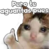 🐈‍⬛Gaticos🐈💕🇲🇽 20