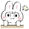 Bunny・W・🐰🩷 21