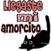 🧿Gatitos Michis Miau🐈 14