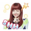 Blackpink №42 22