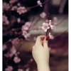 Best Flowers 2 23