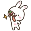 Bunny・W・🐰🩷 26