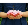 Best Flowers 2 25