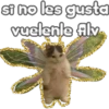 🐈‍⬛Gaticos🐈💕🇲🇽 23