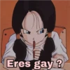 Eres gay ?