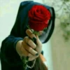 Best Flowers 2 27
