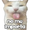 🐈‍⬛Gaticos🐈💕🇲🇽 24