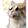 🐈‍⬛Gaticos🐈💕🇲🇽 26