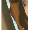 perrito 20