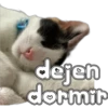 🐈‍⬛Gaticos🐈💕🇲🇽 28