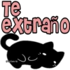 🧿Gatitos Michis Miau🐈 16