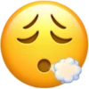 Big Emoji (IOS) 25