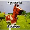 amiketty 9