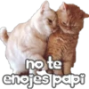 🐈‍⬛Gaticos🐈💕🇲🇽 29