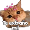 🐈‍⬛Gaticos🐈💕🇲🇽 30