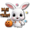 Feliz HALLOWEEN 🎃 24