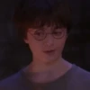 HARRY POTTER 8