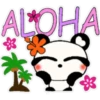 Hawiiaan Panda🫧🐼 10