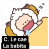 🧿Ovejita Zhihu🐑🐑 6