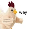 Peluches fraseados 1👆👅 7