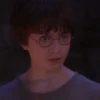 HARRY POTTER 12