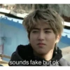 Stray kids memes 7