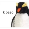 Peluches fraseados 1👆👅 8