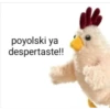 Peluches fraseados 1👆👅 10