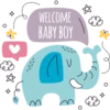 Baby Shower 8