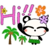 Hawiiaan Panda🫧🐼 12