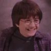 HARRY POTTER 15
