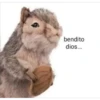 Peluches fraseados 1👆👅 13