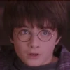 HARRY POTTER 17