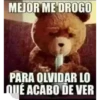 ANIMALITOS 13