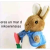 Peluches fraseados 1👆👅 14