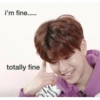 Stray kids memes 14